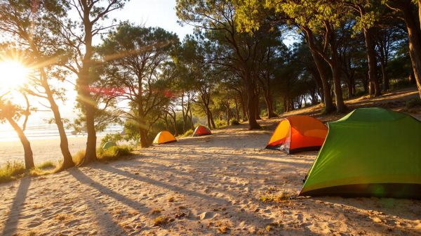 Découvrez les atouts relaxants du camping le welcome à Mesquer